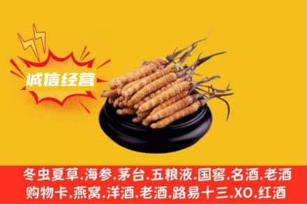 岢岚县回收冬虫夏草
